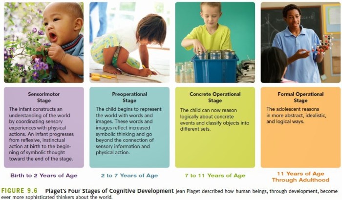 Development cognitive brain what children does mean age our famlii toddler milestones means achieving appropriate than just piaget